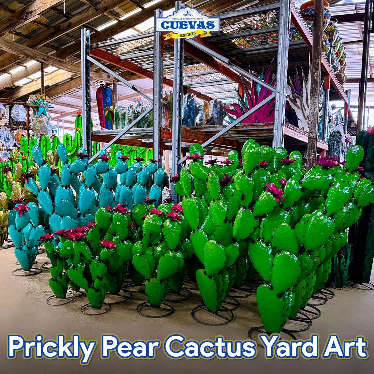 Catalogue - Cactus Products